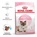 Royal canin MOTHER & BABYCAT Pienso para gatos